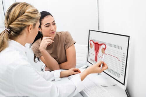 The Role of Ovulation in Female Reproduction