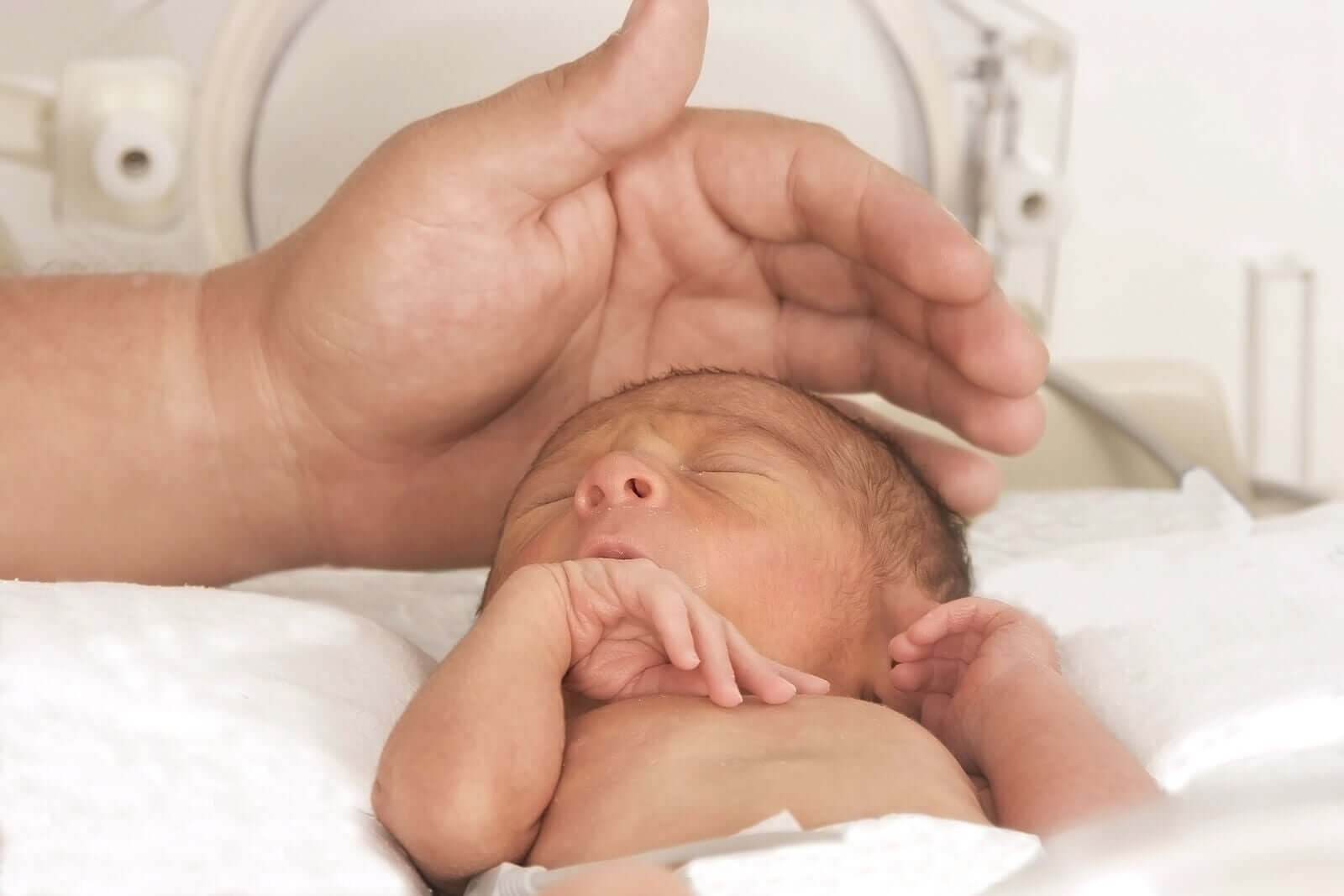 En hand som klappar ett barns huvud i en inkubator.