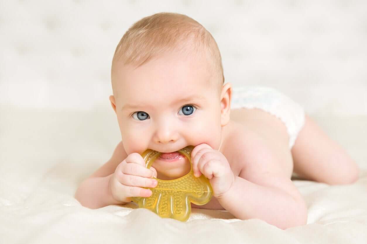 A baby chewing on a teether.