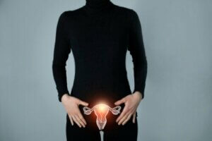 What Are the Fallopian Tubes?