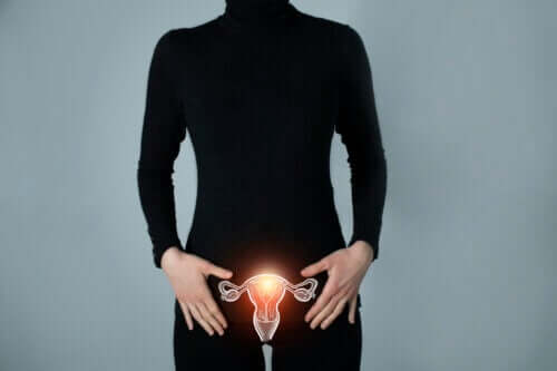What Are the Fallopian Tubes?