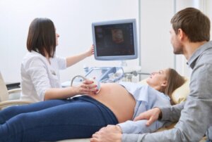 What's The Importance of Morphological Ultrasound