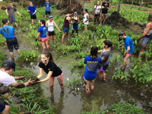 Service Learning Methodology: What is it?