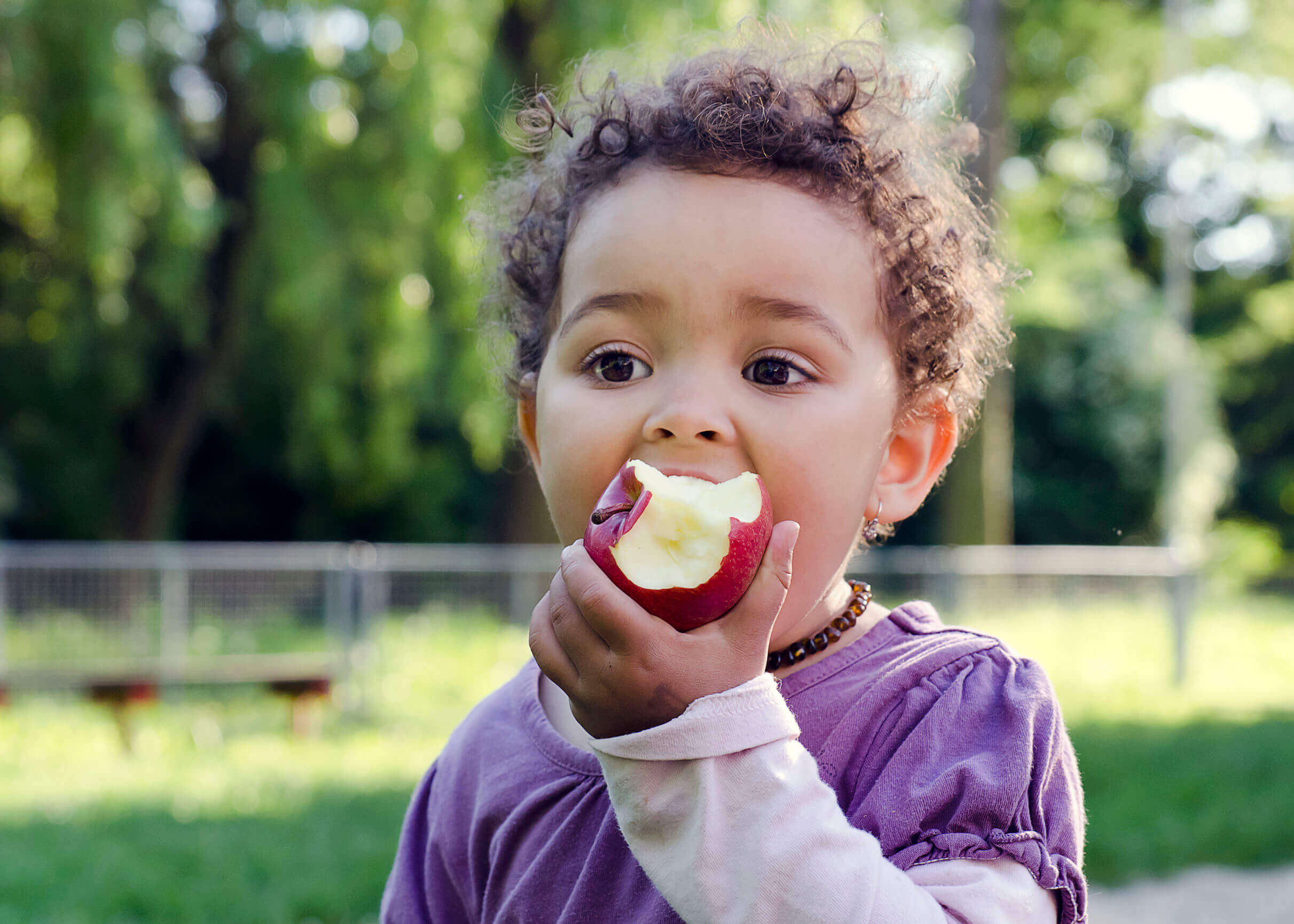 A toddler eating an apple.