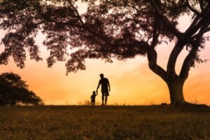The Tree of Emotions: What You Should Know