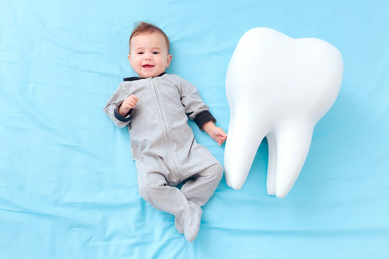 En bebis som ligger på golvet leende bredvid en stor modell av en tand.