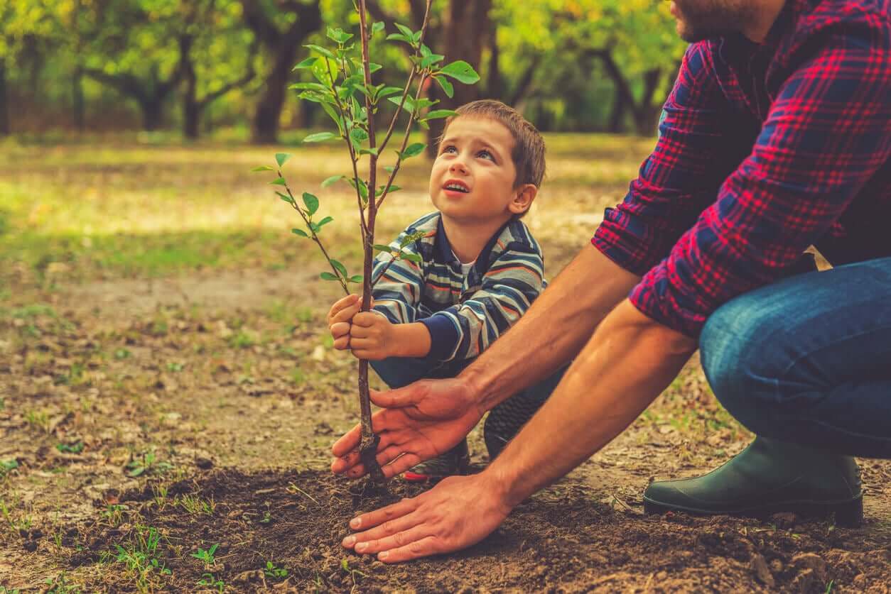A father planting a tree with his toddler son.