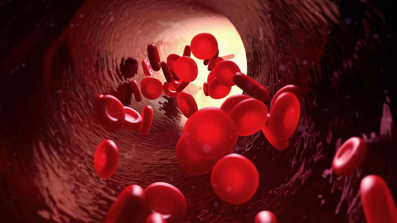 Red blood cells.