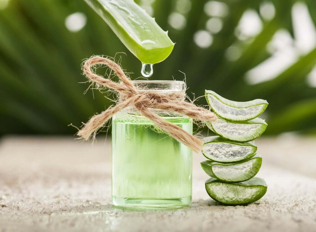 En flaske fersk aloe gel fra en aloe vera-stilk.
