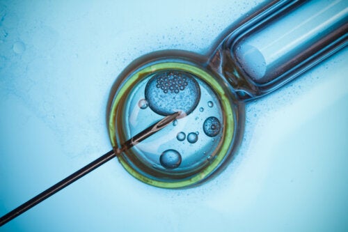 How to Choose the Best Fertility Clinic
