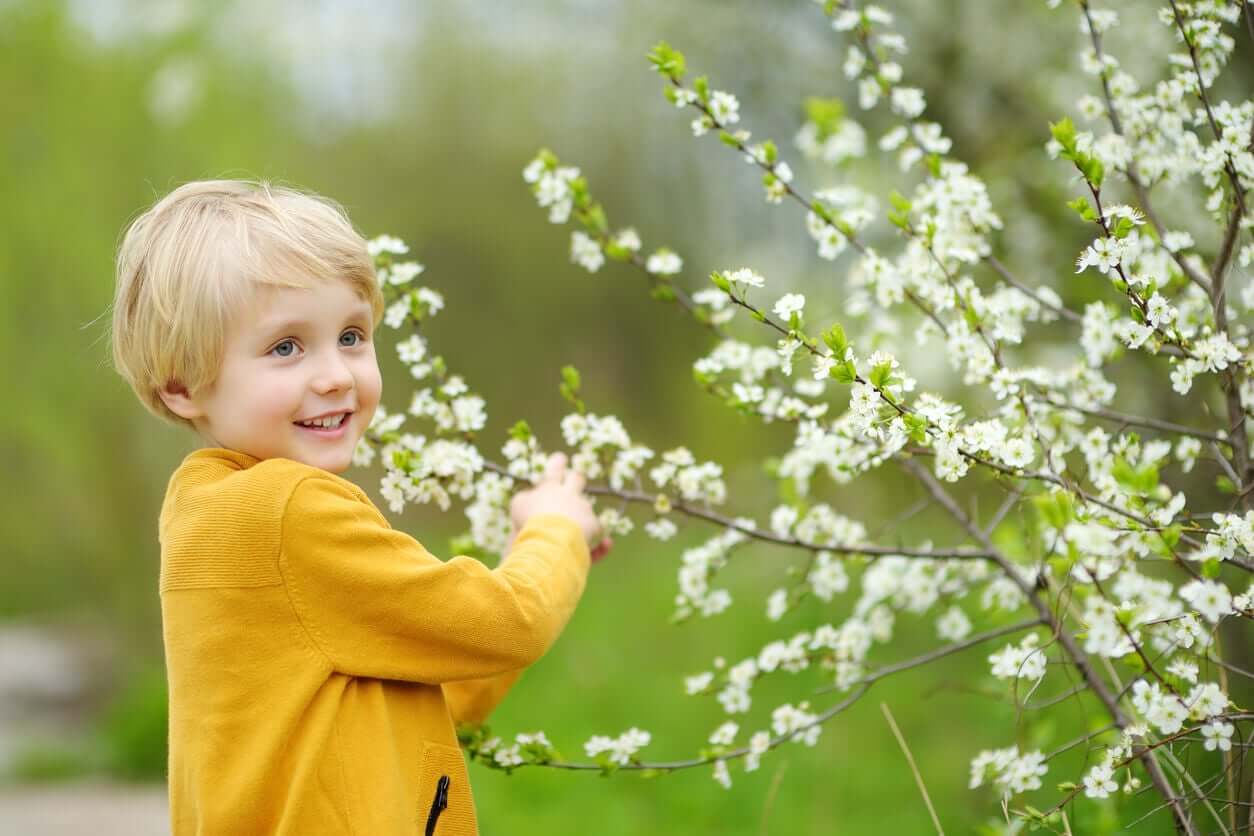 A young boy picking flowers.