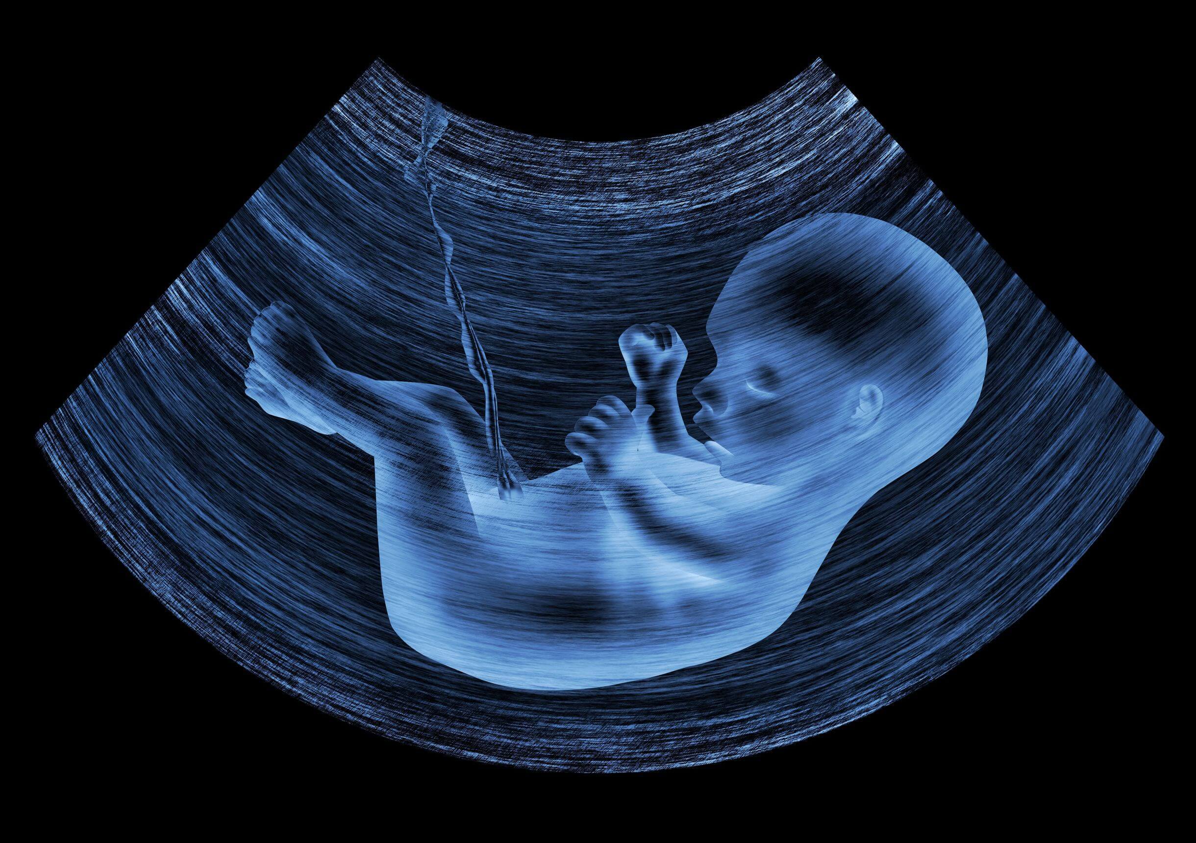 Illustration af ultralyd af foster