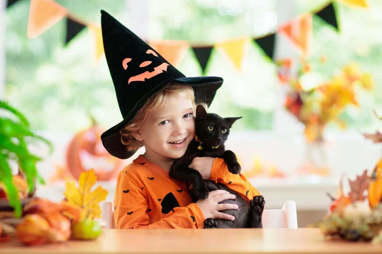 A small child dressed up as a witch and holding a black cat.