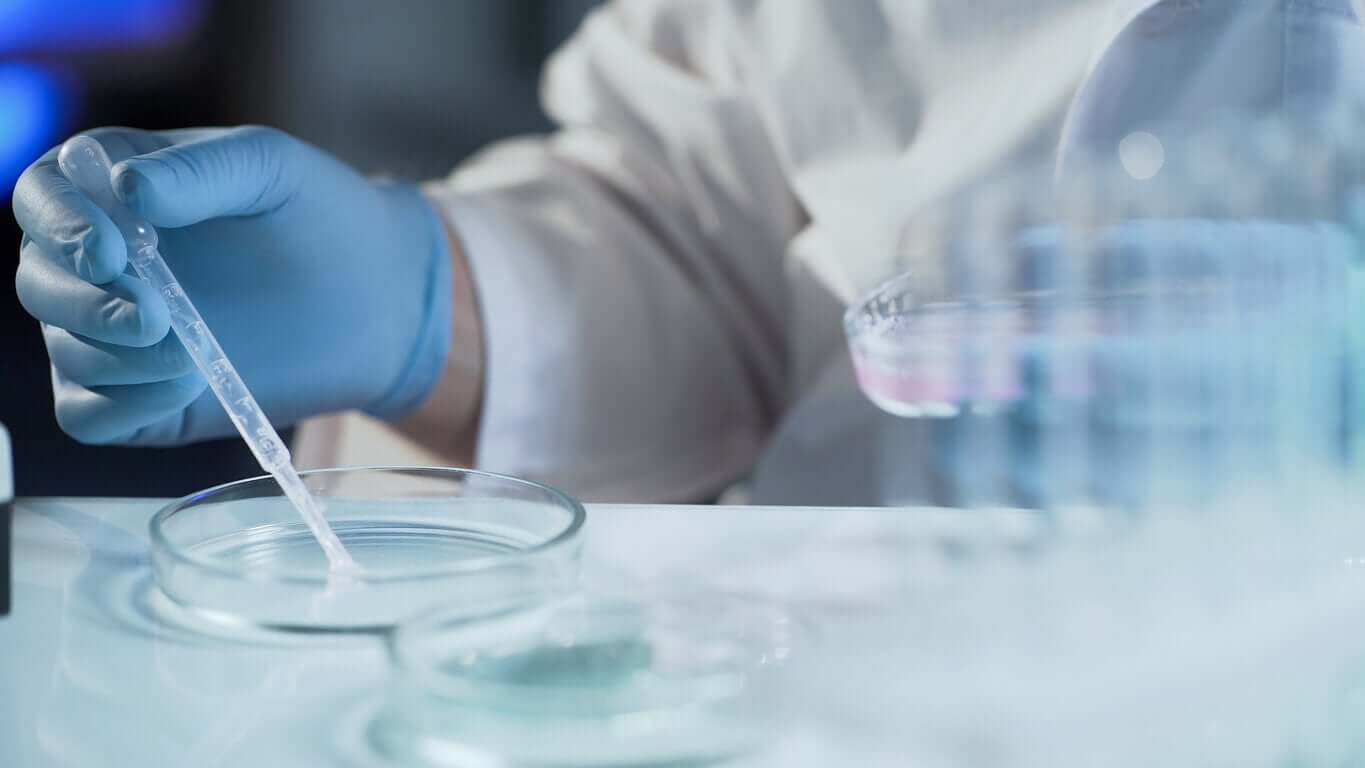 A technician working with a petri dish in a lab.