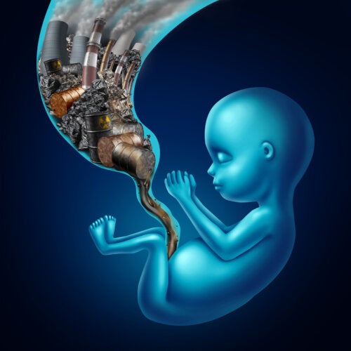 Pollution Affects the Health of Newborns