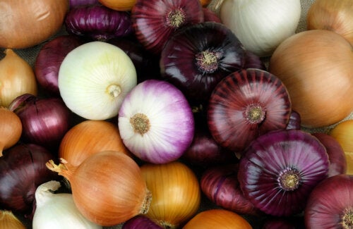 Onion for Coughing in Children: Does It Work?