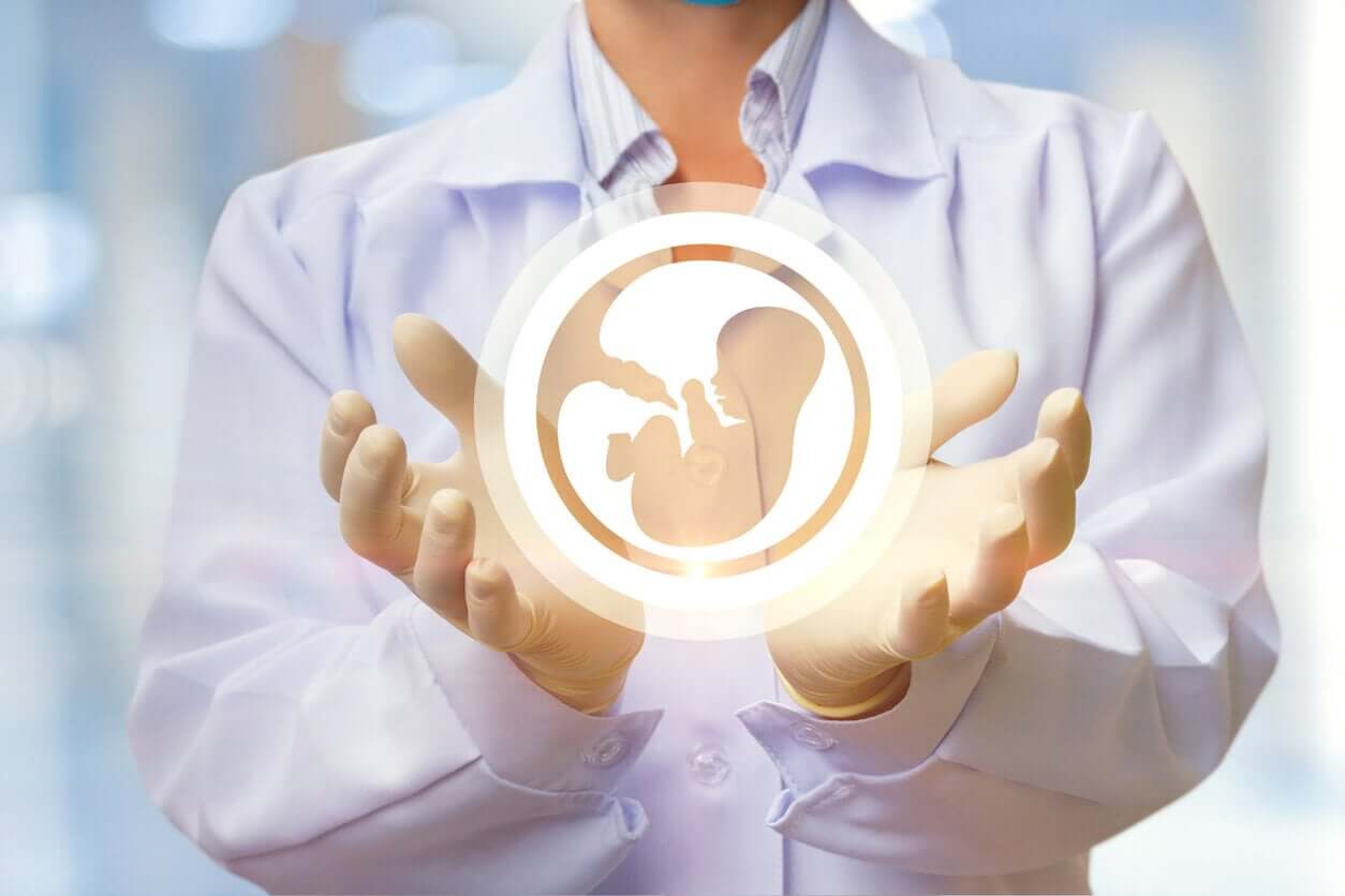 An image of a fetus in the womb floating in the hands of a doctor.