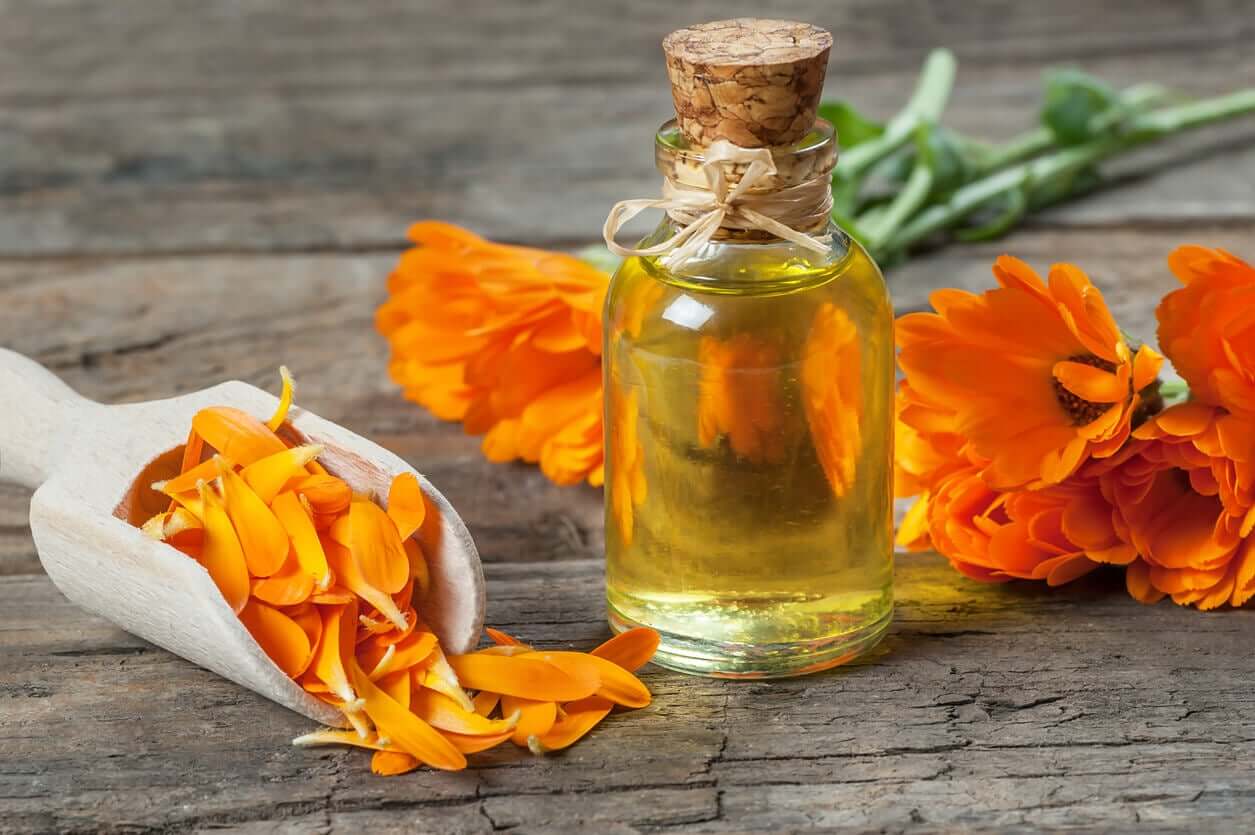 Calendula oil surrounded by orange calendula floweres.