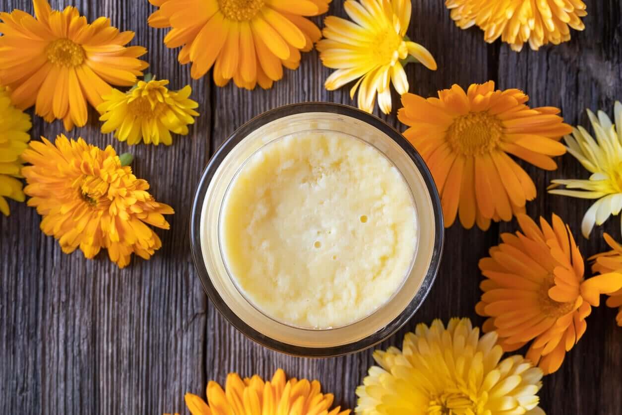 Calendula crema and calendula flowers.
