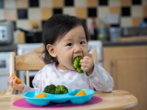 How to Stimulate Chewing in Babies?