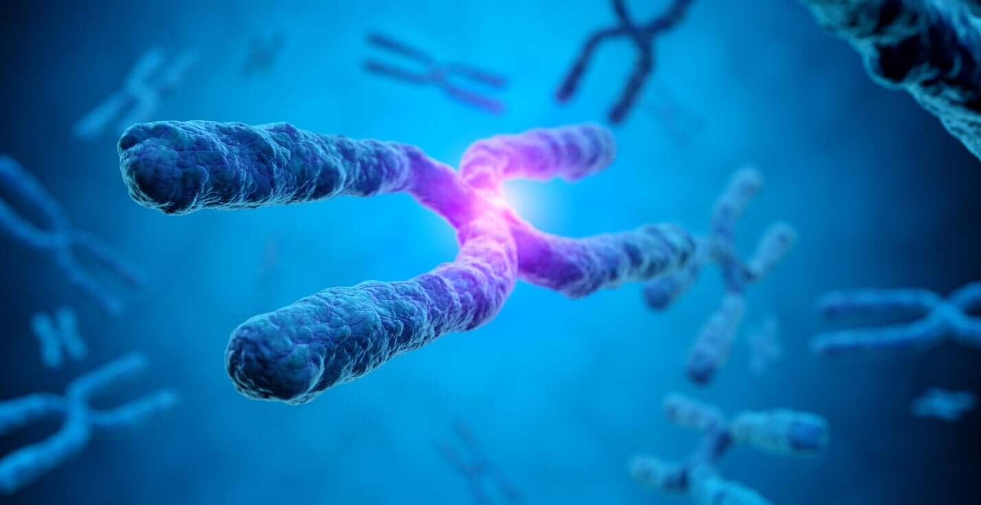 Oorzaken van een gemiste miskraam zoals een afwijking in de chromosomen