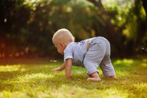 A baby walking on all fours.