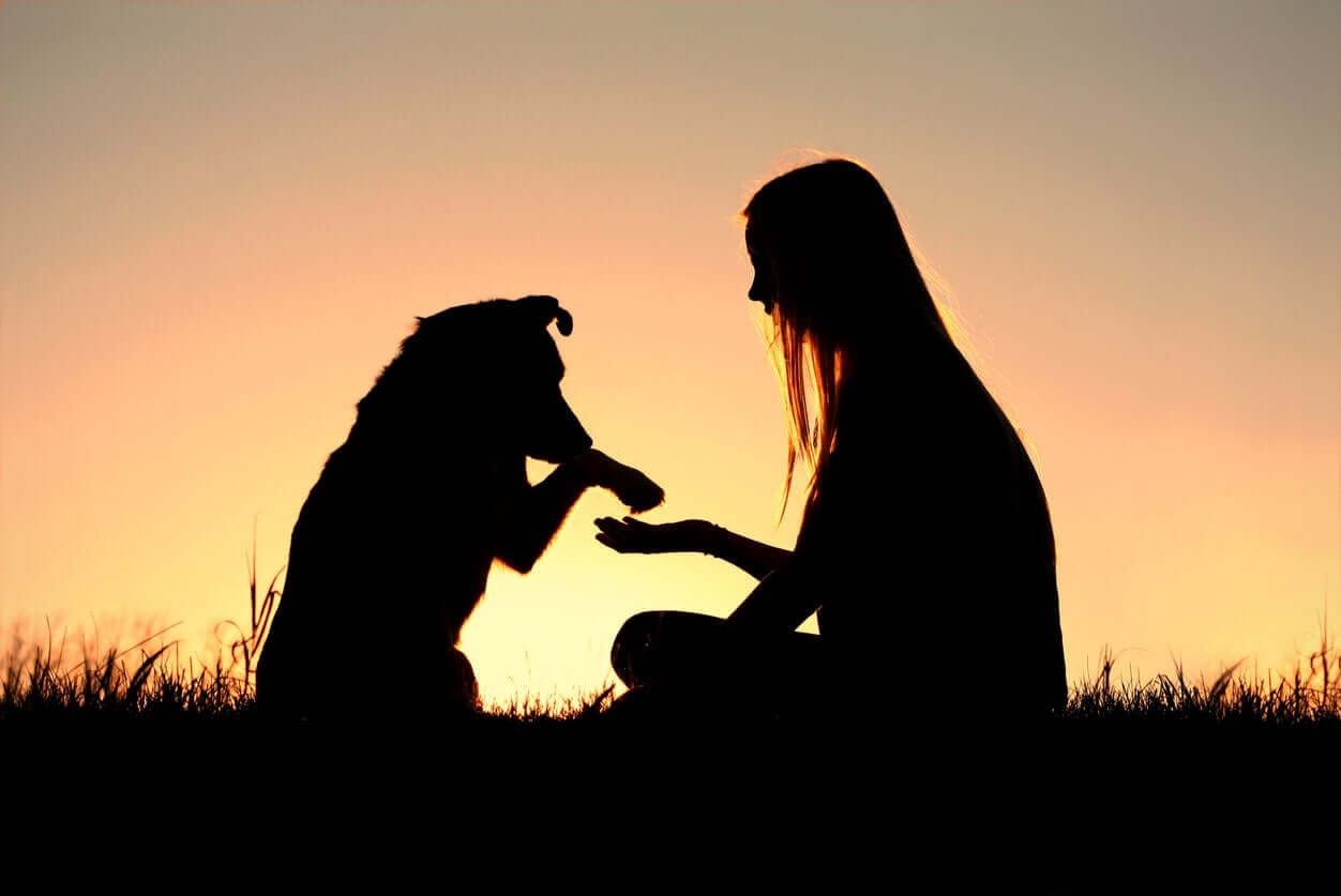 Siluetten av en hund som sätter sin tass i en tonårsflickas hand.