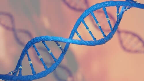 Een afbeelding van DNA
