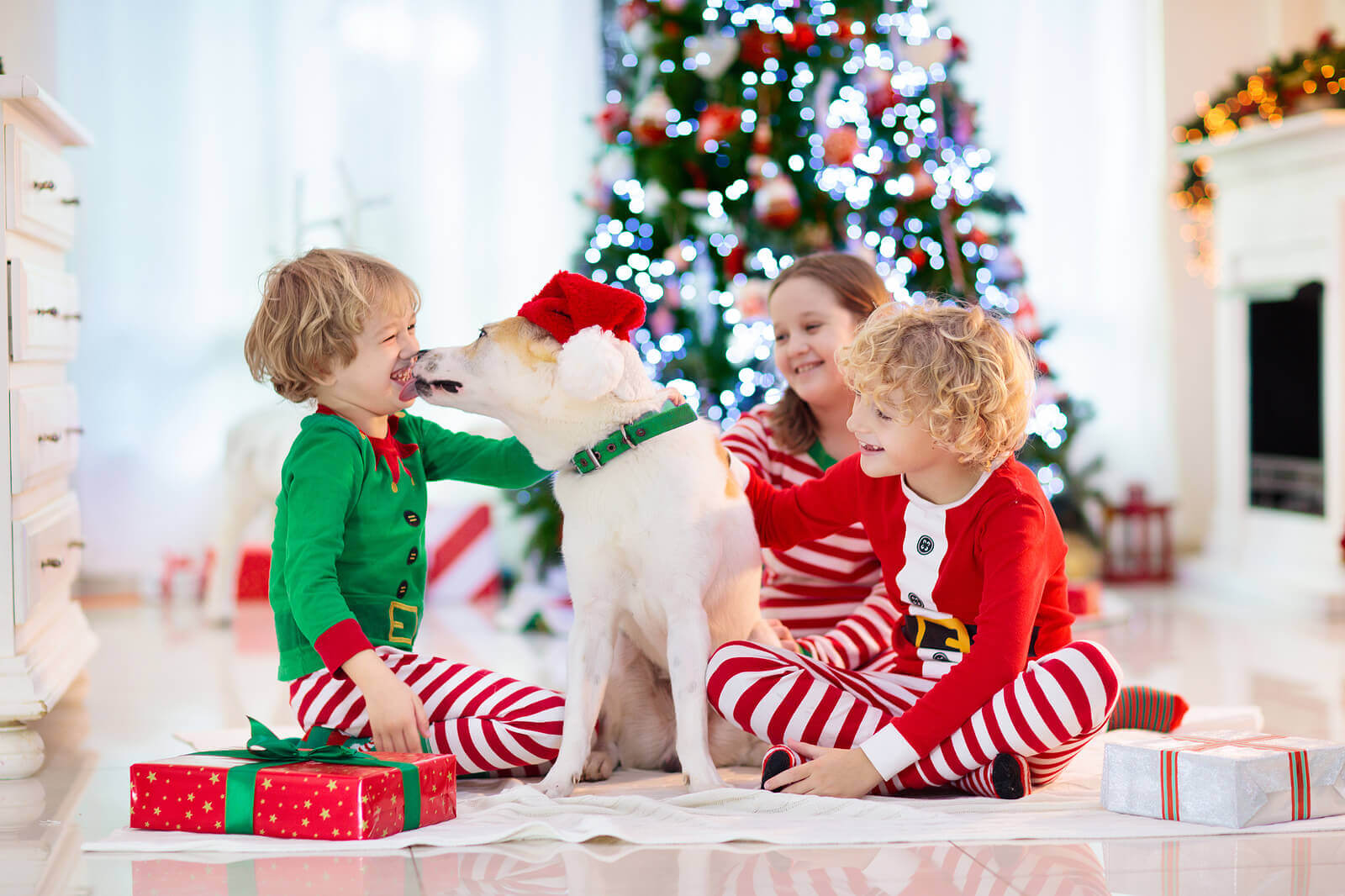 Three siblings wearing Christmas pajamas by the Christmas tree, playing with their dog.