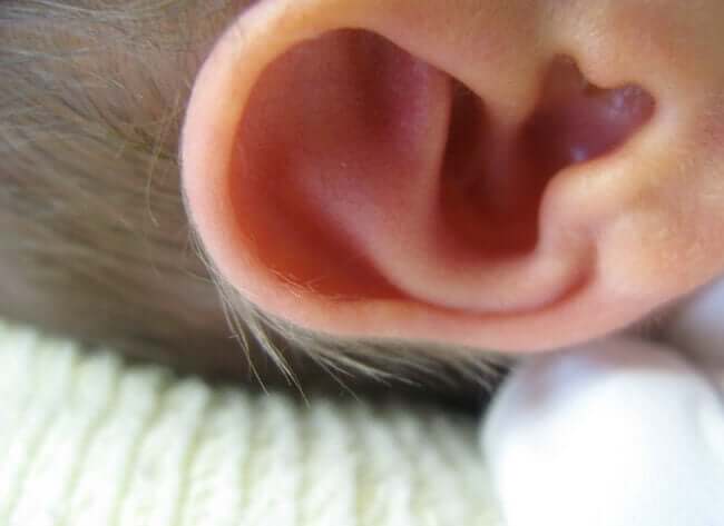 En närbild av en bebis öra.