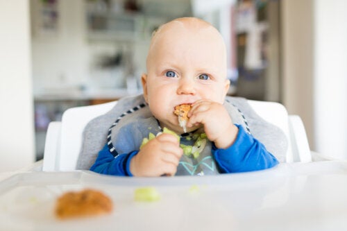 How to Start Giving Food to Your Baby Without Mashing It?