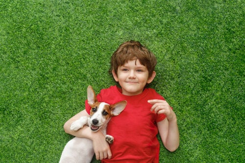 Having a Dog Increases the Social and Emotional Development of Children