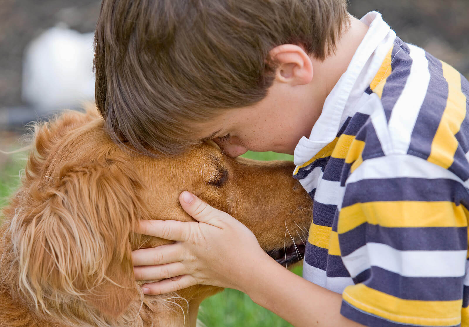 Dreng krammer en hund for at øge sin følelsesmæssige udvikling
