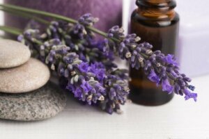 6 Tips to Eliminate Dandruff in Children