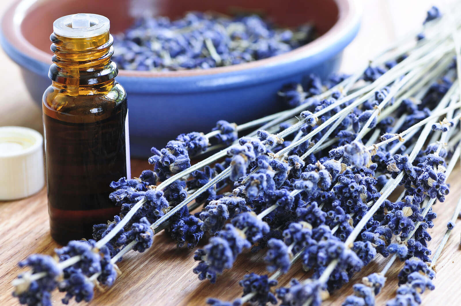 Lavender stems and lavender oil.