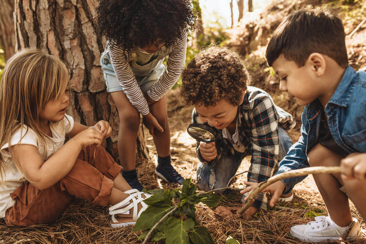 Kinderen op onderzoek in de natuur