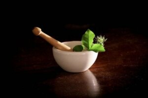 14 Medicinal Plants for Pregnant Women