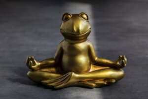 Frog Technique: An Exercise for Children's Self-Control