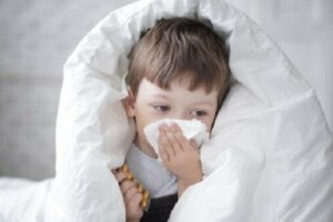 Benefits of Propolis for Children