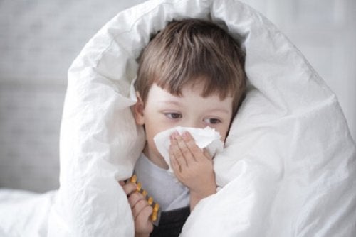 Benefits of Propolis for Children