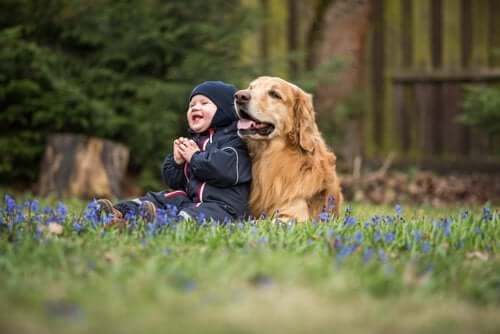 A baby sitting in the grass with a golden retriever.