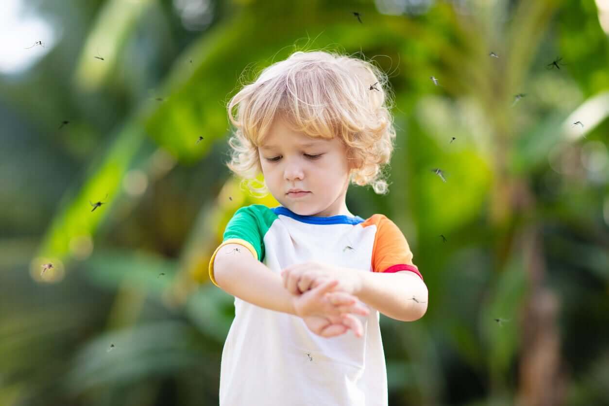 Ett litet barn blir bitet av myggor.