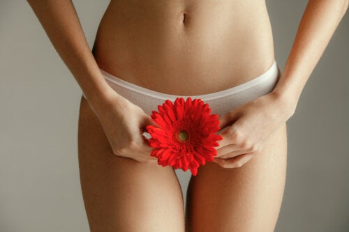 Menstruation After Curettage: Everything You Need to Know