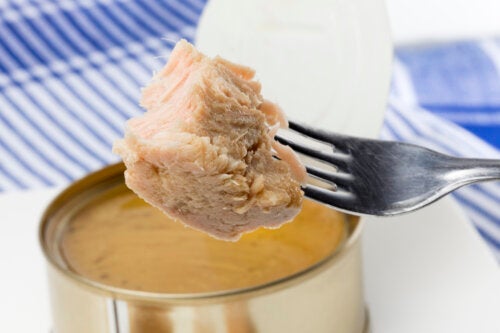 Is It Safe to Eat Tuna While Pregnant?