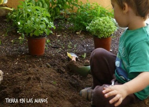 Preschool Agriculture: Teaching Children to Grow Their Own Food