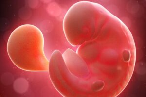 Week 6 of Pregnancy: Symptoms, Development, and Recommendations