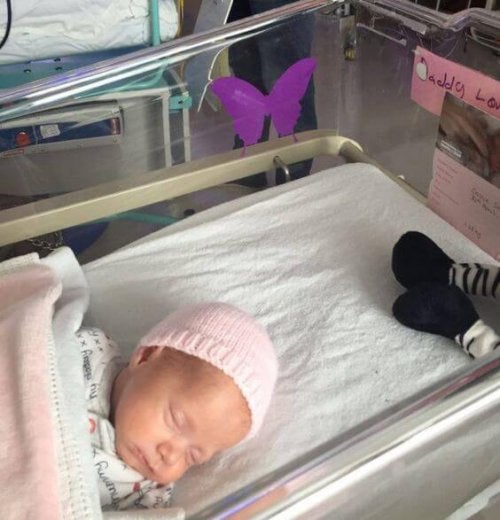 What Does a Purple Butterfly Mean in a Baby's Crib?