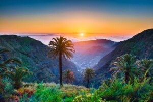 71 Boy Names of Canarian Origin