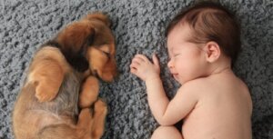 Can a Baby's Hair Color Change?
