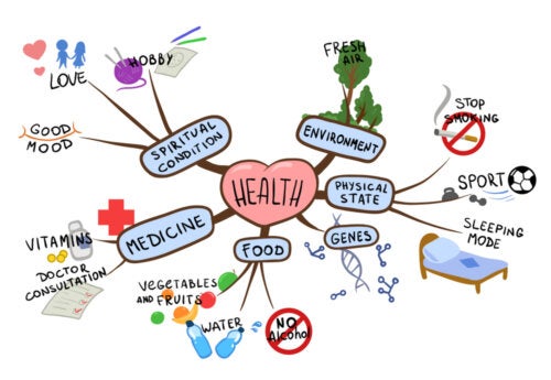 Teaching Children How to Make Mind Maps for Studying